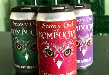 Snowy Owl Kombucha Cans